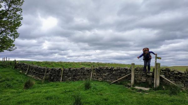 Climbing the fences along the way, always graciously