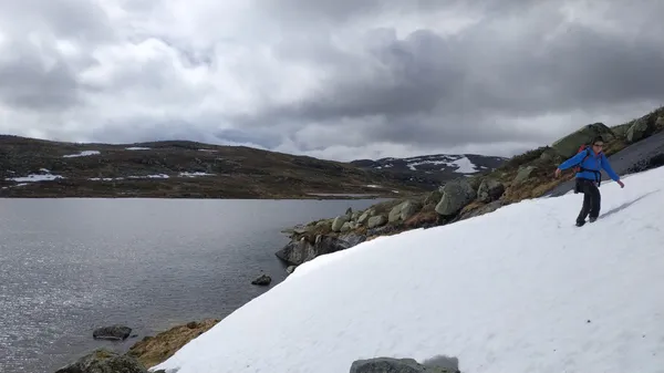 Gemma walking on a patch of snow